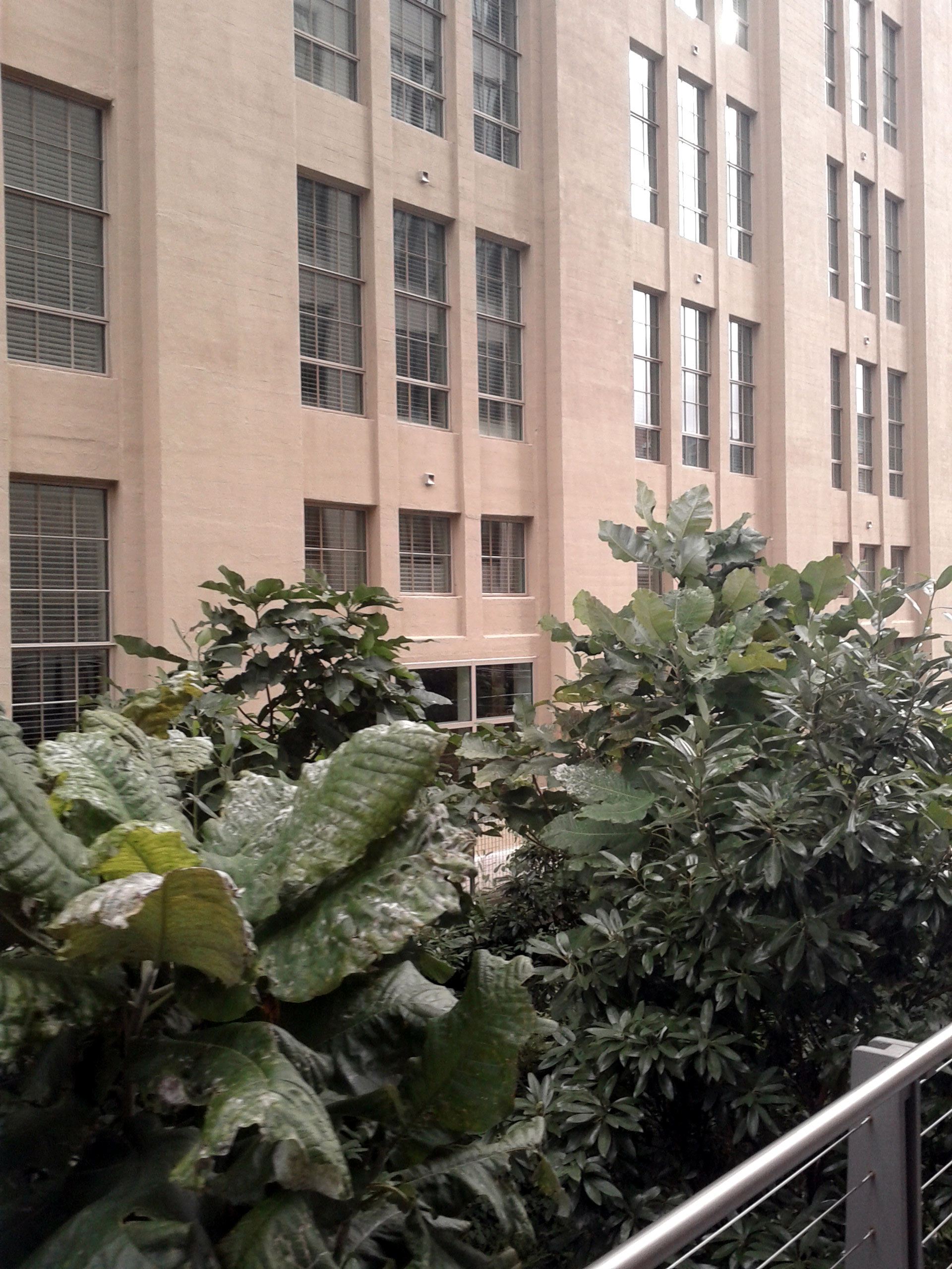 纽约高线公园（The High Line）丨美国纽约市-38