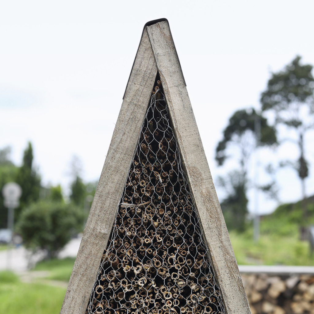 澳大利亚昆虫之城装置-20