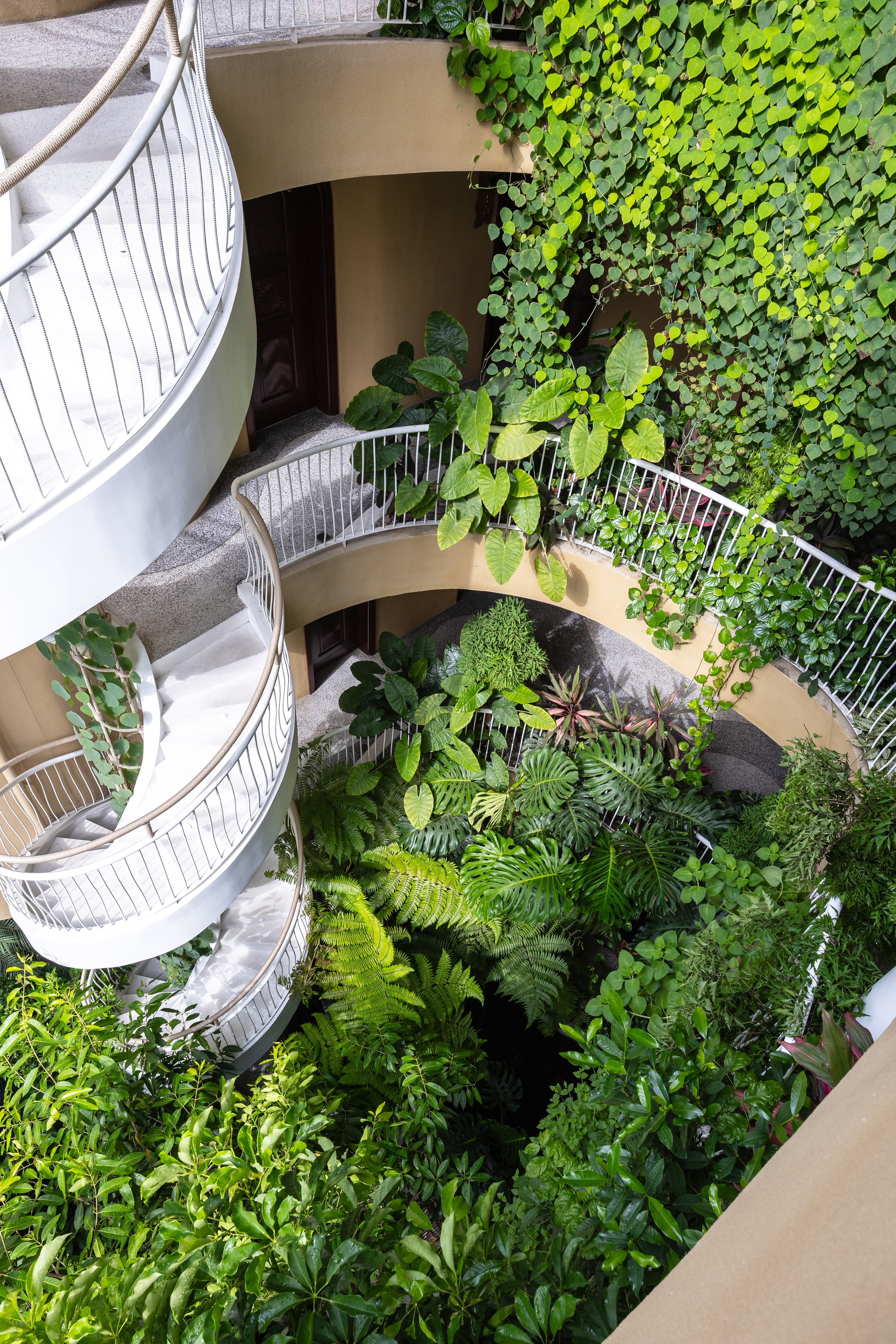 丨越南丨Ho Khue Architects,FHD-40