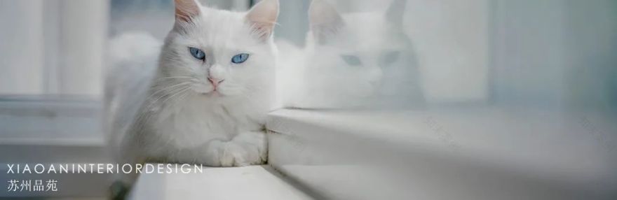 精致武陵人,品味生活美学-85