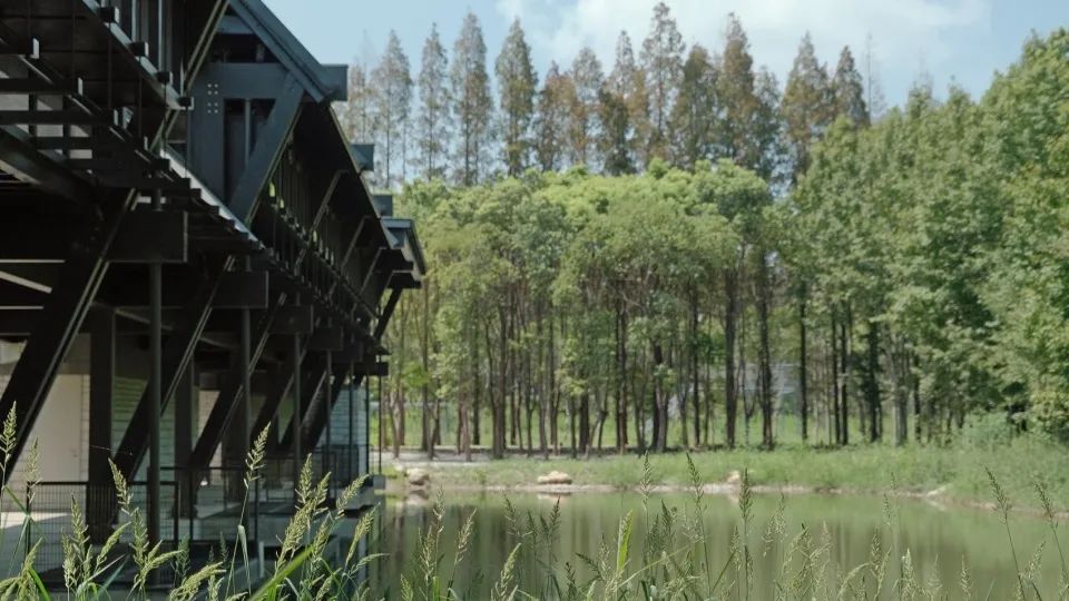 神奇建筑新作｜苏州太仓栋梁轩-20