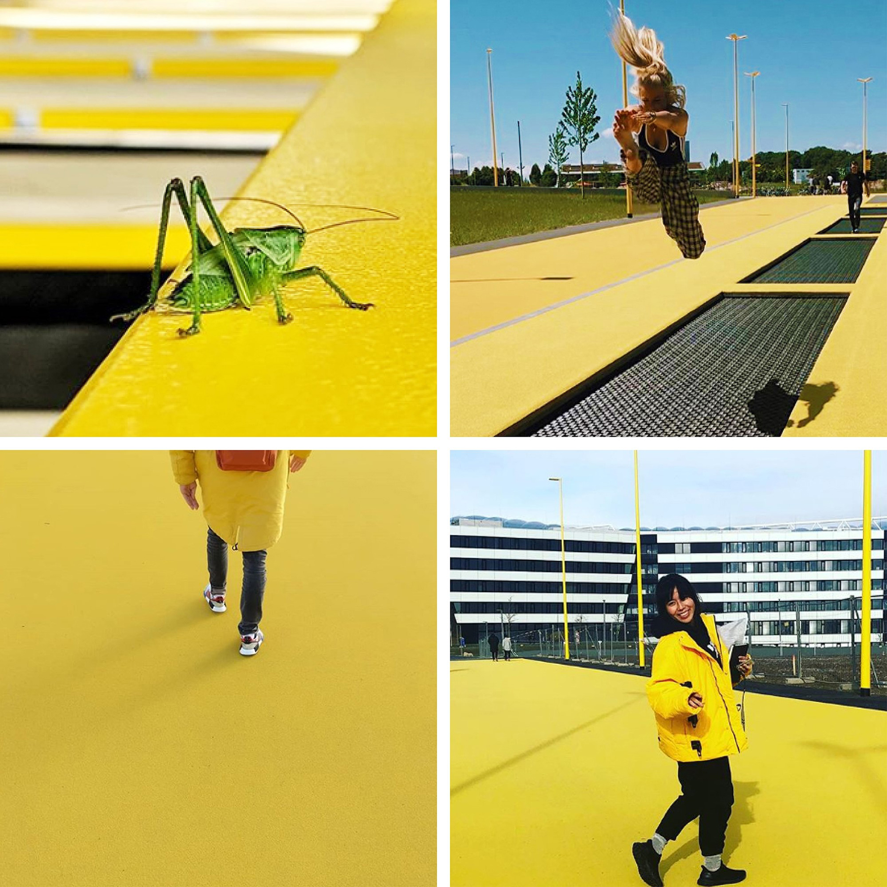 阿迪达斯全球总部园区景观设计 / LOLA景观设计事务所 -14