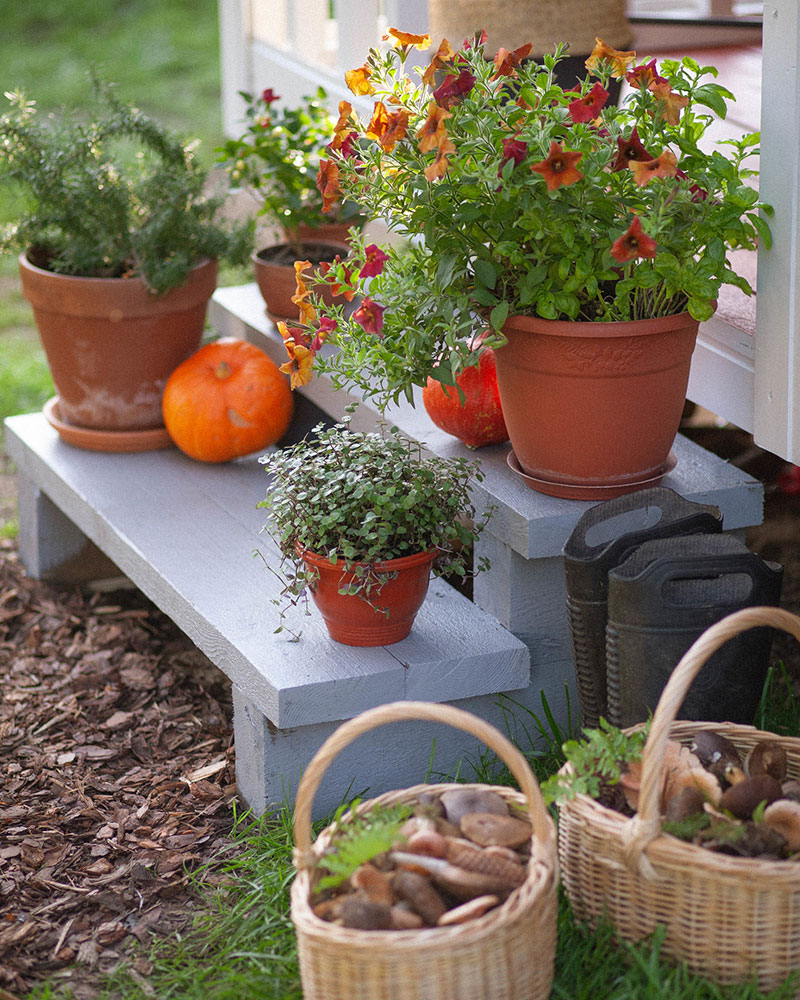 俄国瑞典风小屋 | 迷你而温馨的乡村度假屋-13