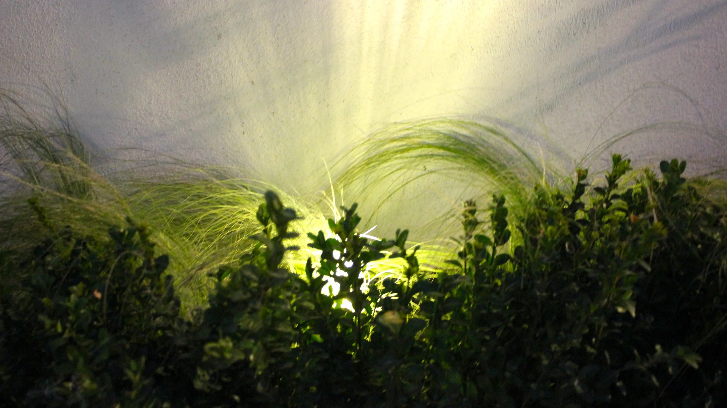 Templeogue Turf住宅后花园景观设计丨爱尔兰都柏林-98