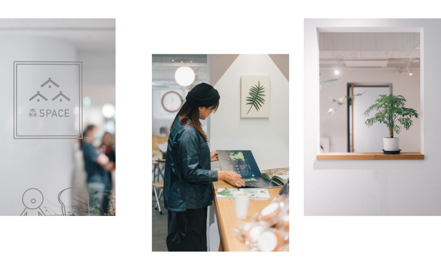 CornerGreen植角|植栽教學・森學【鹿角蕨居家佈置及上板課程】體驗工作坊-18