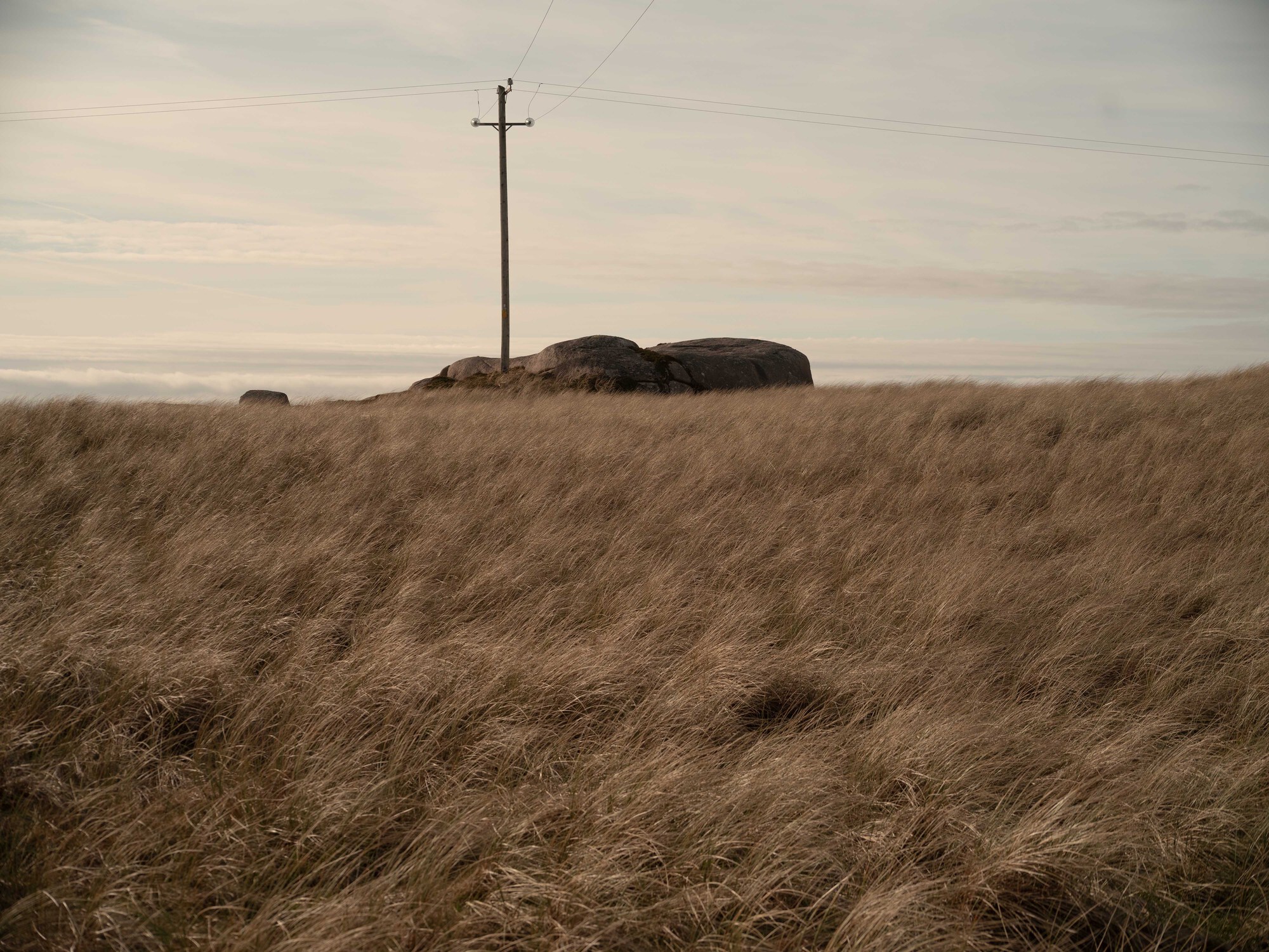 丨爱尔兰丨Pasparakis Friel-27