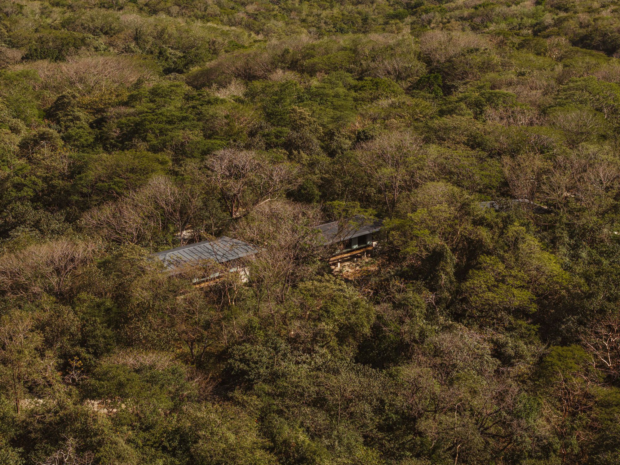 丨Costa Rica丨Studio Saxe（建筑）,Dania Saragovia（室内）-45