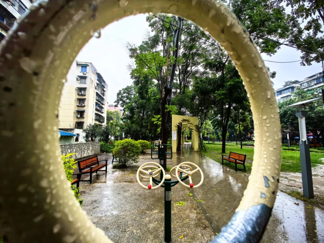 打卡城市“金角银边”丨城市绿地变社区康养公园，“藏”在红牌楼北街的“自然森林花园”-11