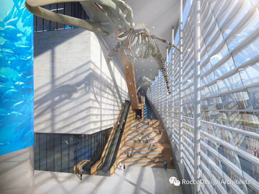 三亚崖州湾科技城深海博物馆丨中国三亚丨不详-17