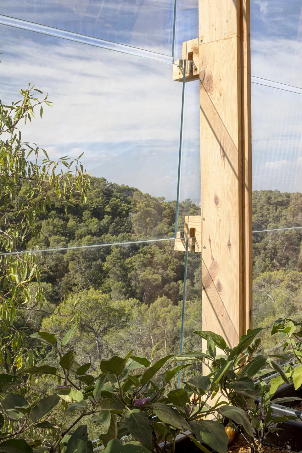 原型太阳能温室丨西班牙巴塞罗那-51