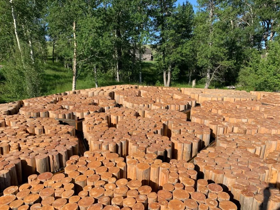 甘多小学丨布基纳法索丨凯雷建筑事务所-148