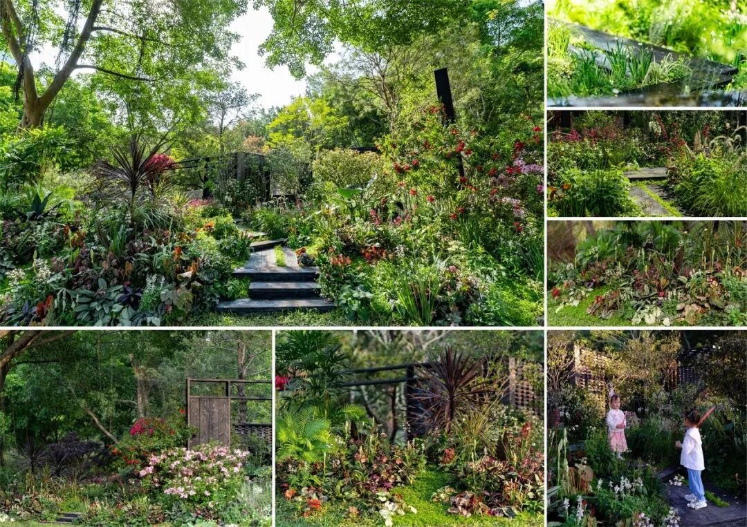 绮云书香|2024粤港澳大湾区花展宝安区城市花园-217