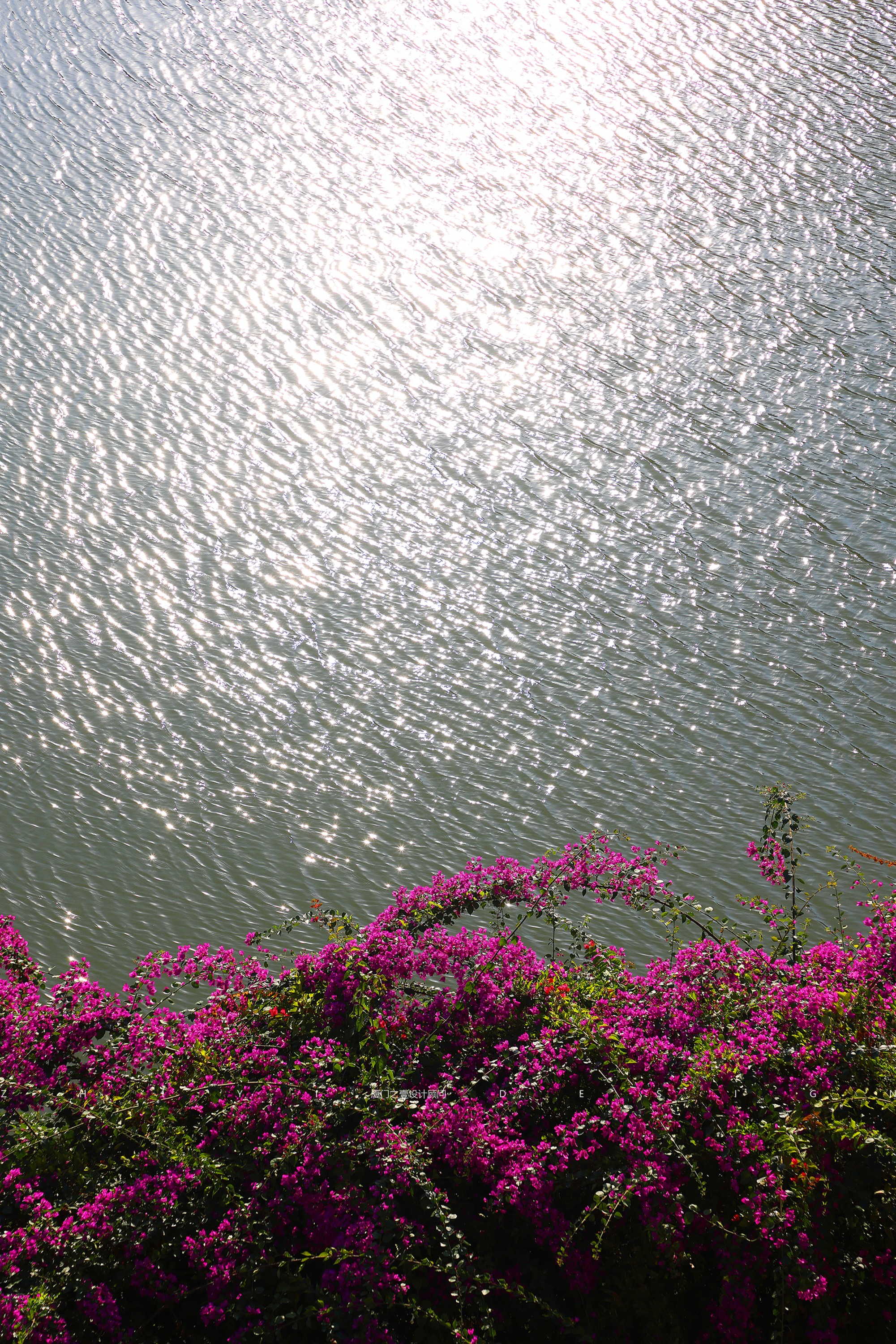 绿光森林丨中国泉州丨厦门之壹设计顾问有限公司-76