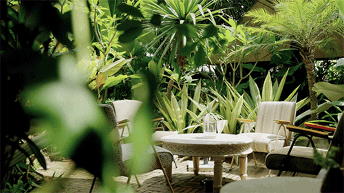 春武里丨中国西双版纳丨方糖设计-51