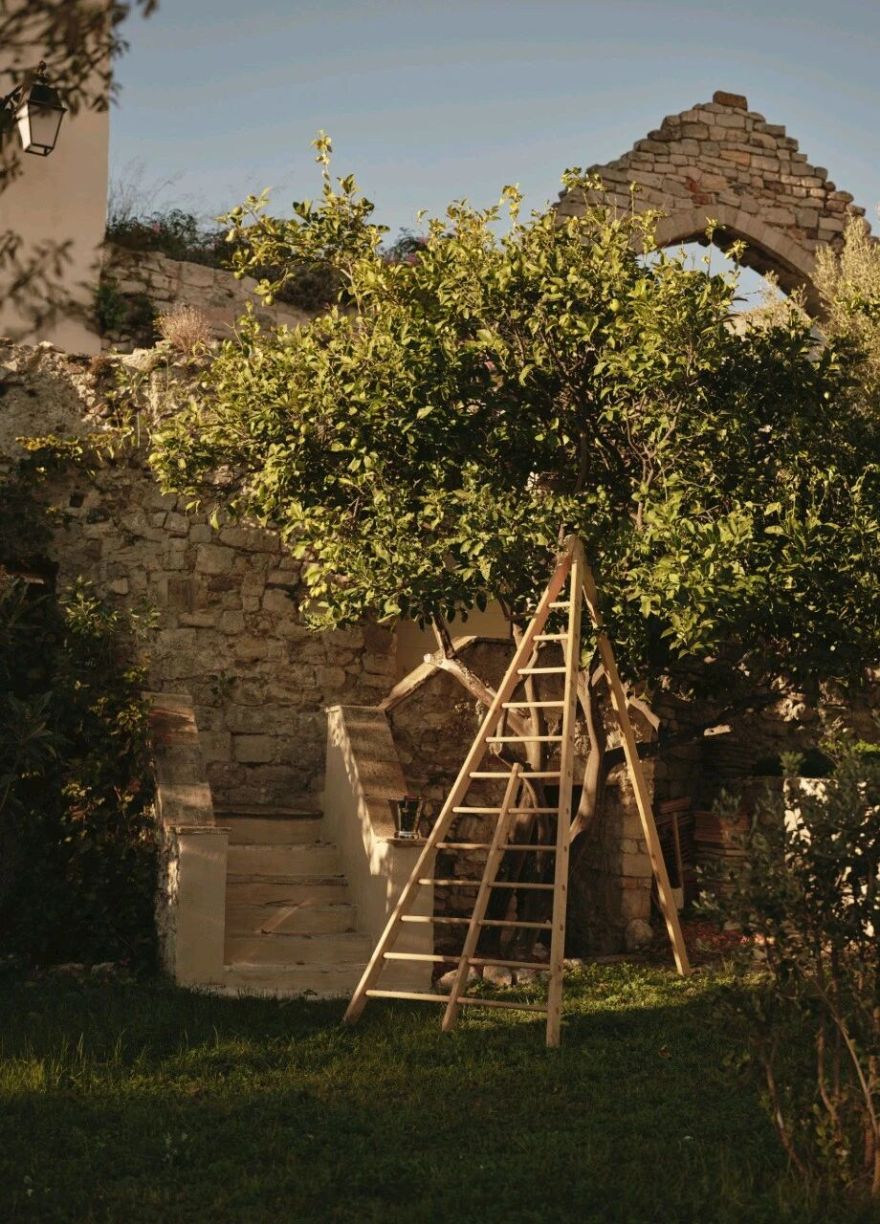 花园住宅 · 南法海岸居住美学丨法国丨Edgar Jayet设计-42