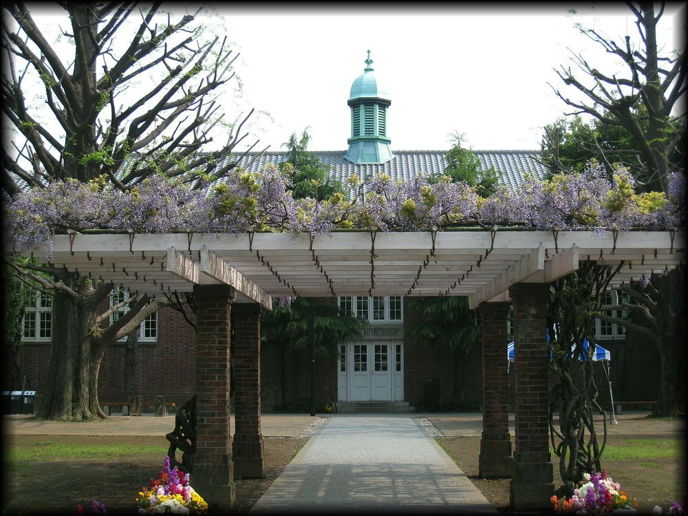 立教大学池袋キャンパス丨日本京都-13