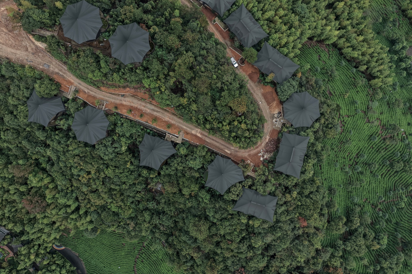 隐奢于野,与自然共呼吸丨中国湖州丨慢珊瑚设计-6