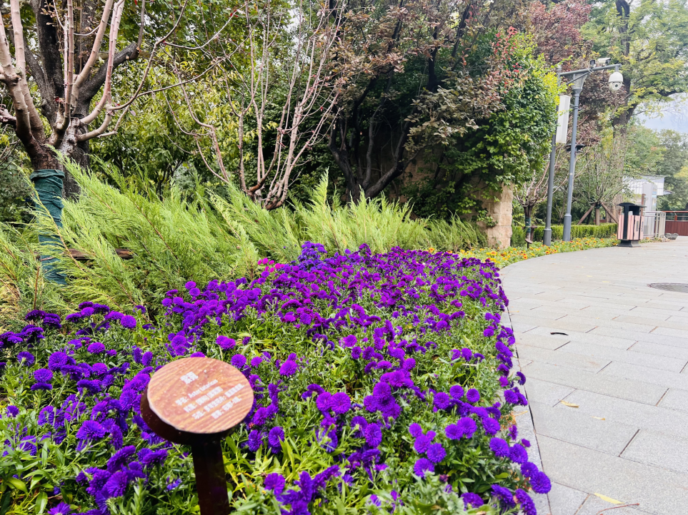 南馆公园及周边改造提升项目丨中国北京丨北林地景-62