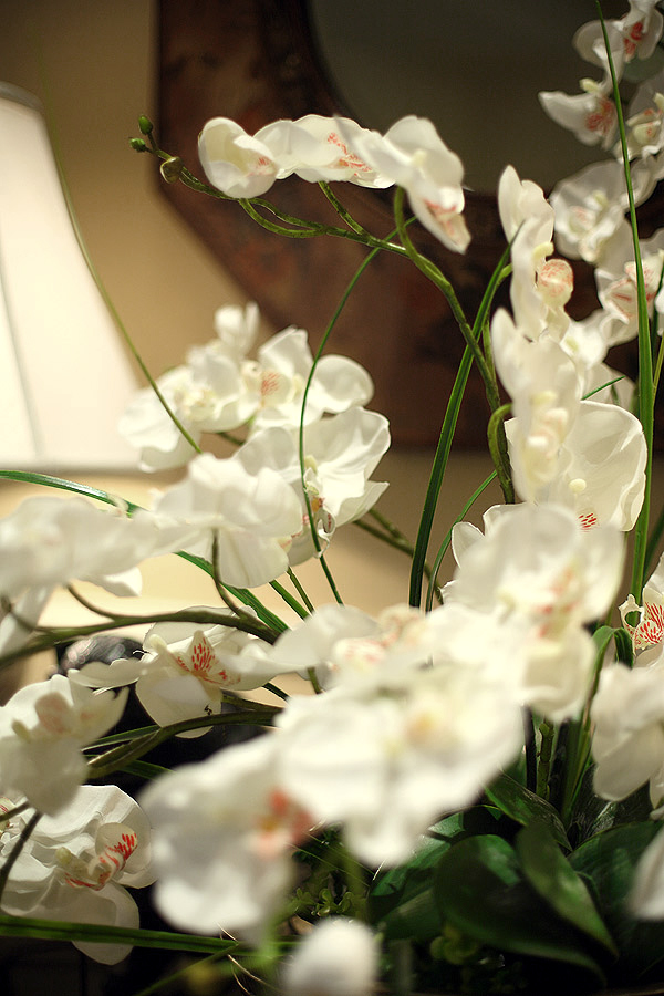 法式简约家装别墅样板房-3-27