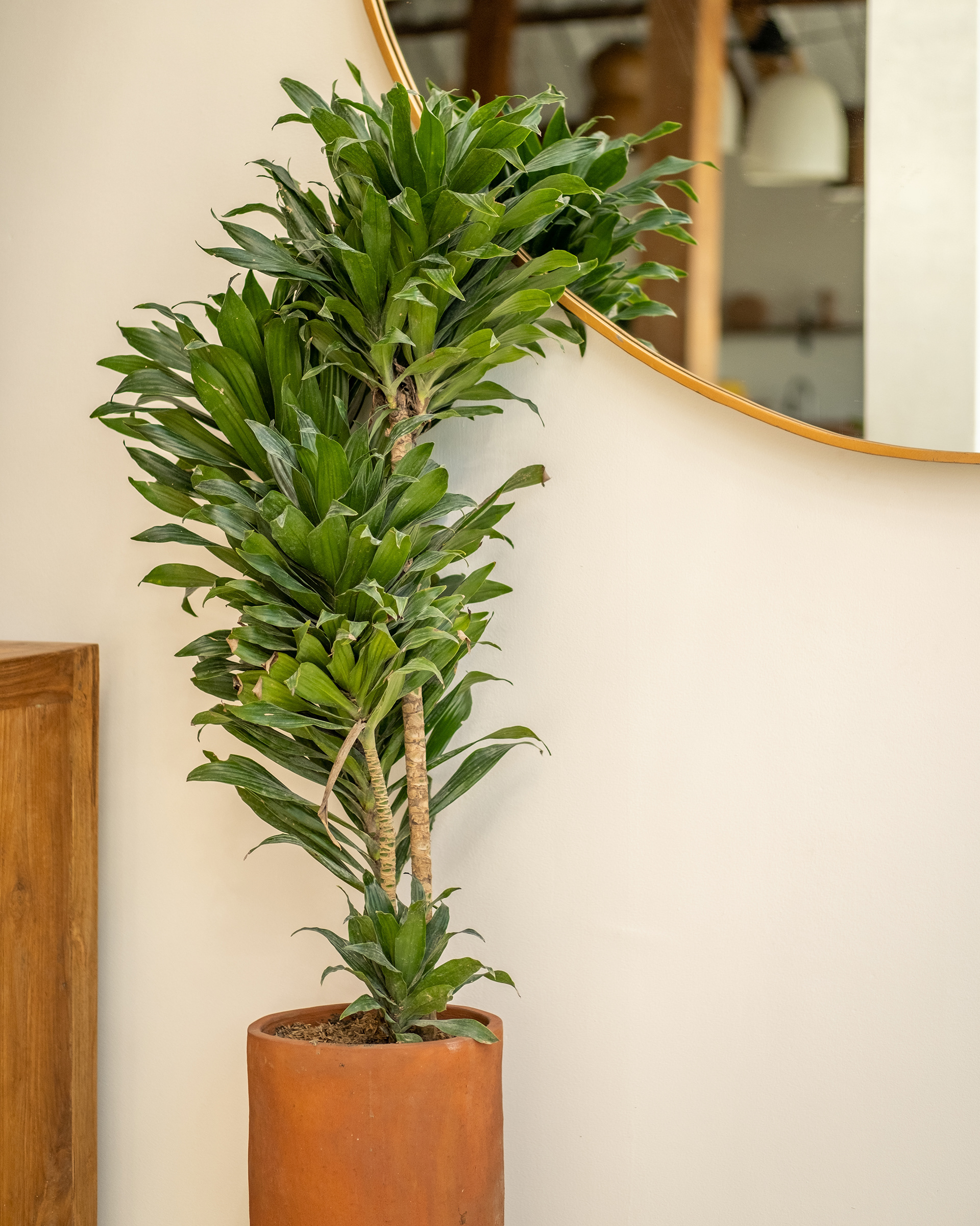 A Contemporary Joglo Villa-10