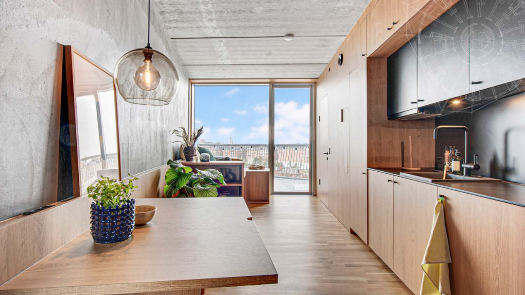 哥本哈根「仙人掌」公寓丨丹麦哥本哈根丨BjarkeIngelsGroup-19