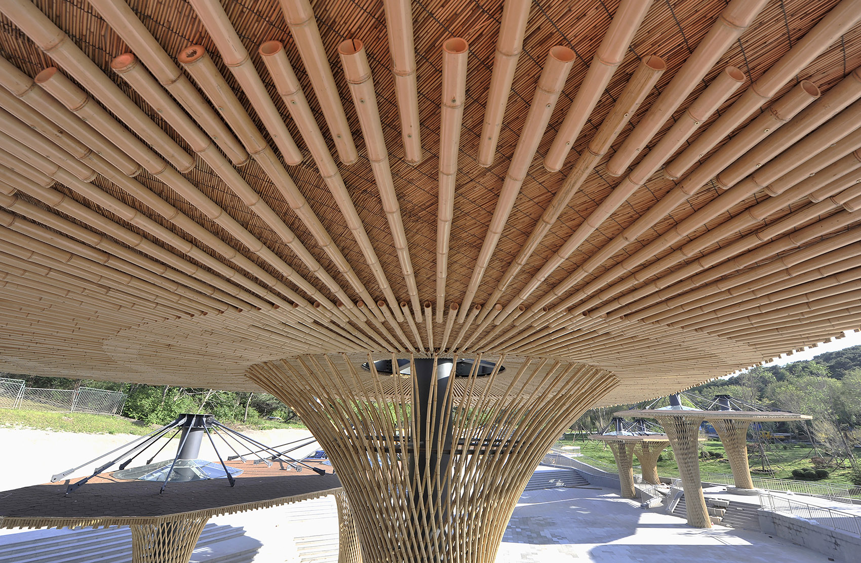 沈阳森林动物园熊猫馆 / 沈阳建筑大学HA+建筑方案创意工作室-37