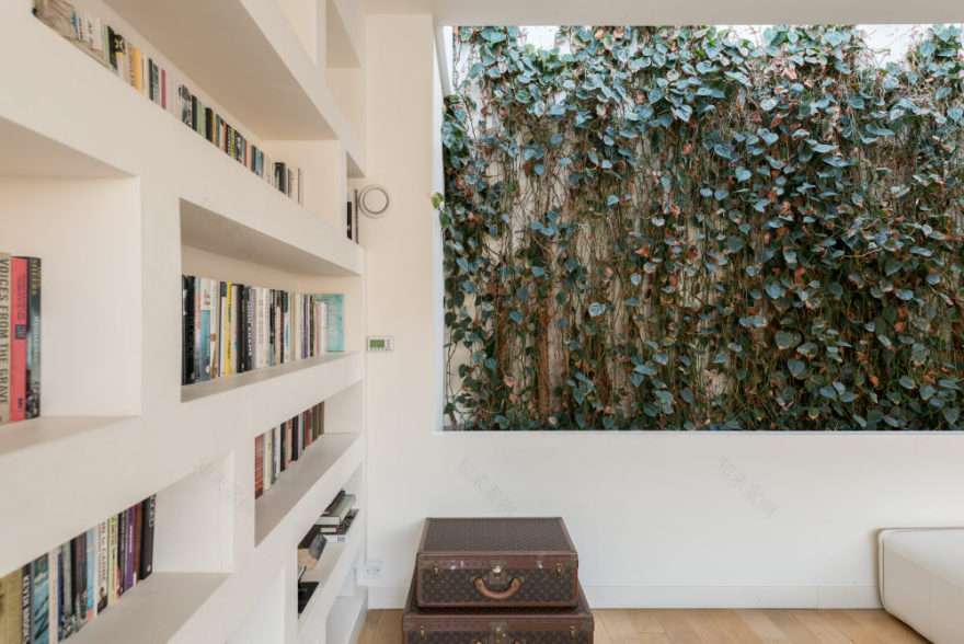 翠绿的;碧绿的;葱茏的-2