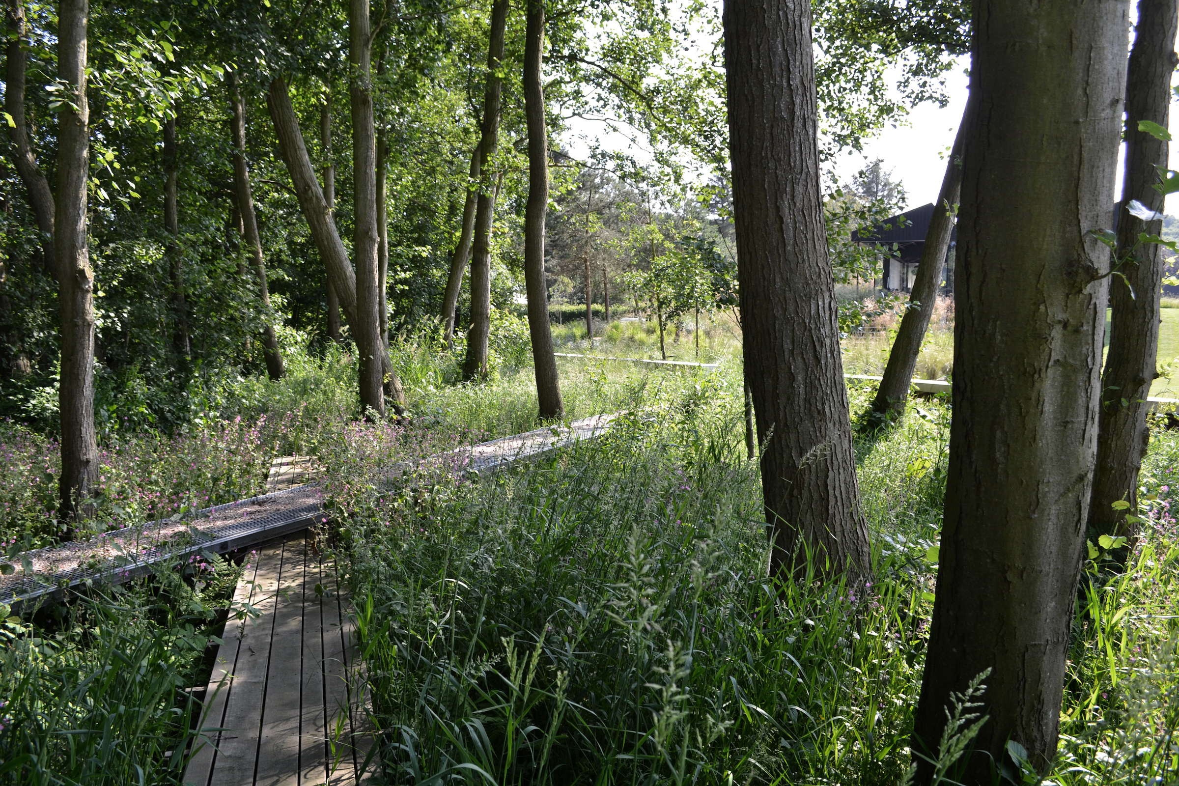 斯霍尔花园丨荷兰丨Andrew van Egmond-14