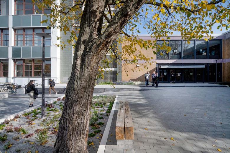 FU 柏林学院大楼入口区域景观设计丨德国柏林-12