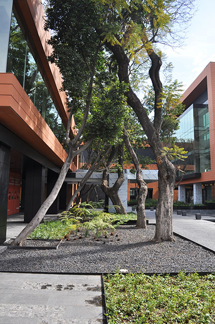 墨西哥城 Coyoacán 企业园区景观设计-32