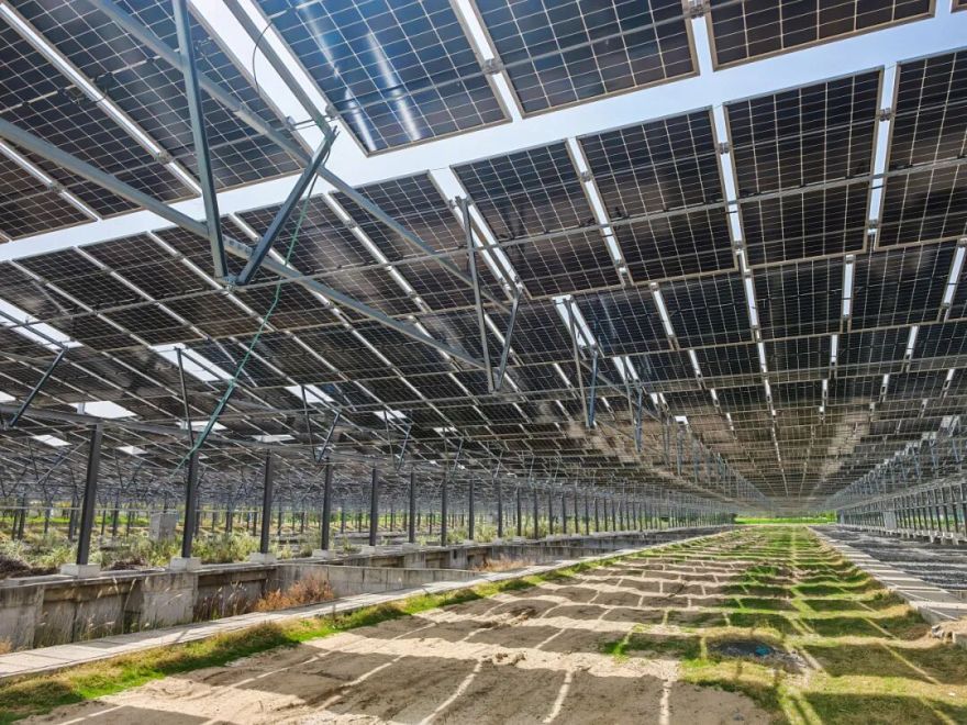 光伏+生态!中建一局承建的郑州航空港区梅河湿地光伏电站率先并网发电-46