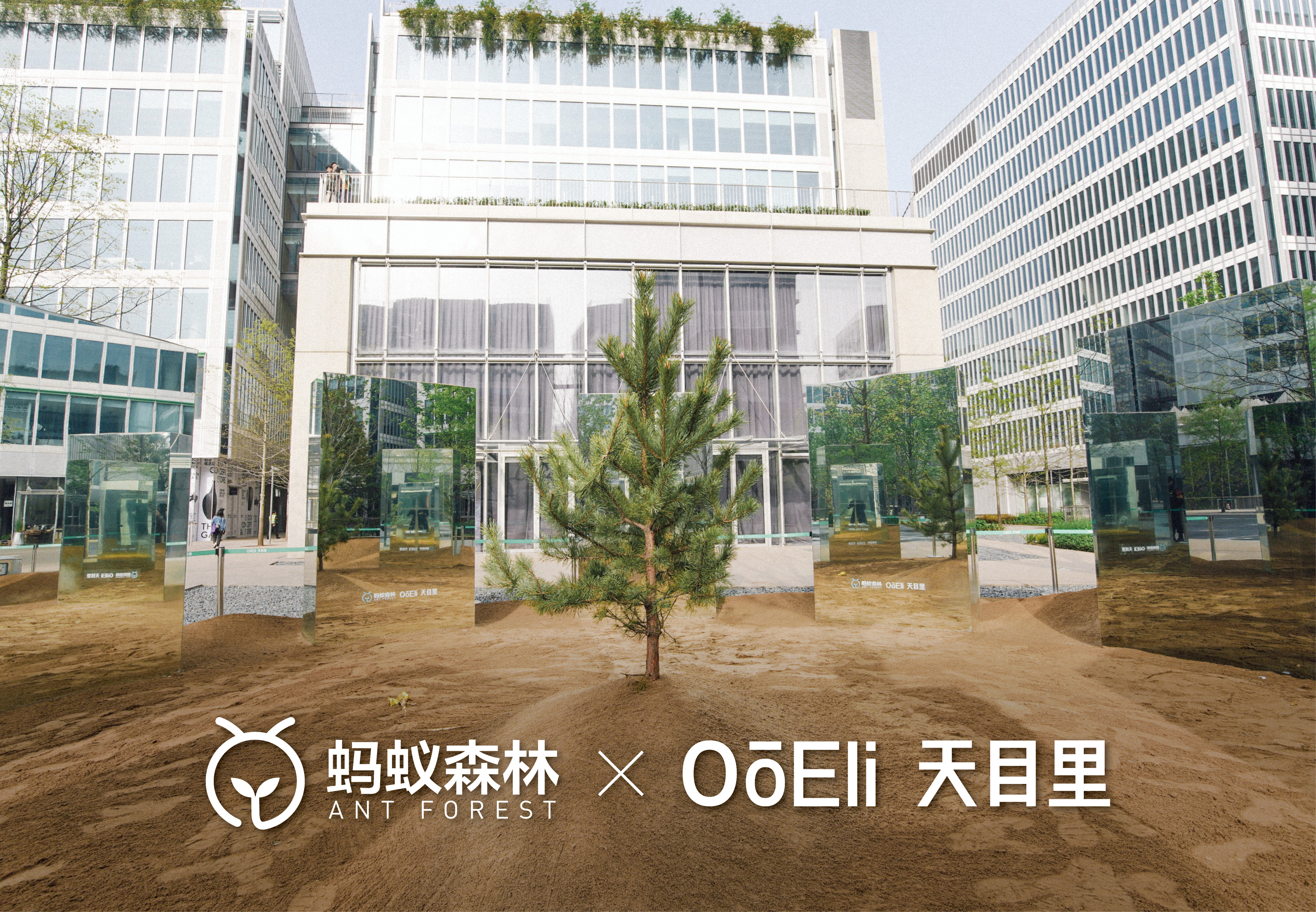 杭州天目里绿色嘉年华「森林里」丨中国杭州丨蚂蚁森林,杭州天目里,不是美术馆-49