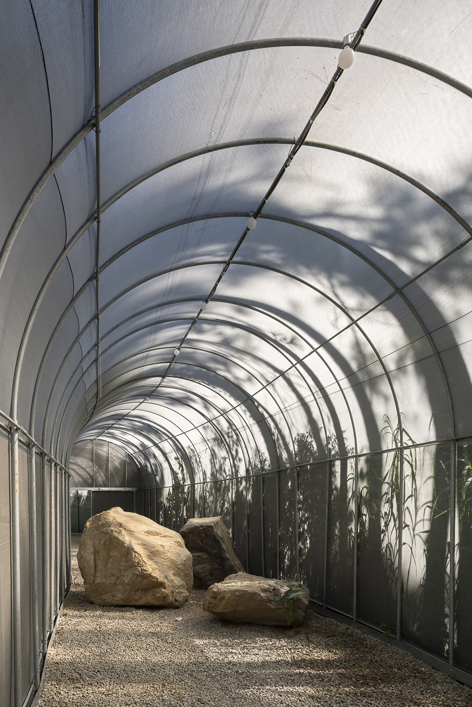 苗栗香格里拉乐园的生态奇观·勤美学森大-45