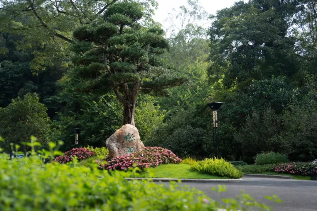 广东温泉宾馆松园一号户外园林景观改造工程丨中国广州-6