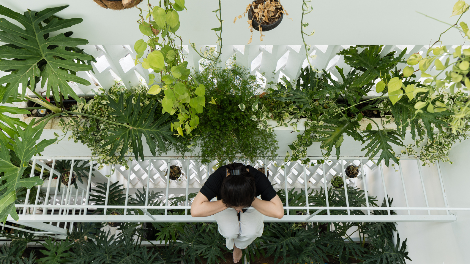 越南雨林中的“百叶窗”住宅-20