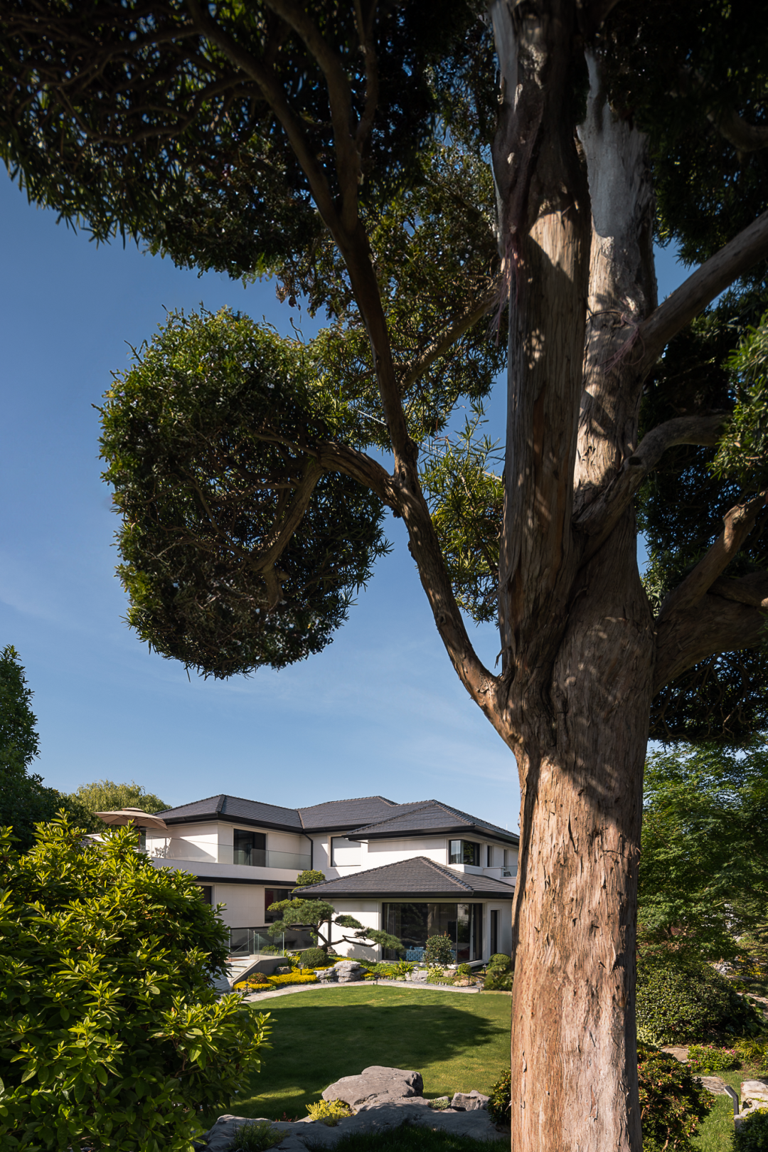 蝶居丨OTL本体建筑空间设计-49