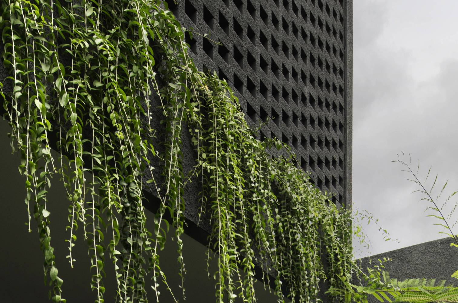 埃洛拉之家丨Atelier Bertiga-17