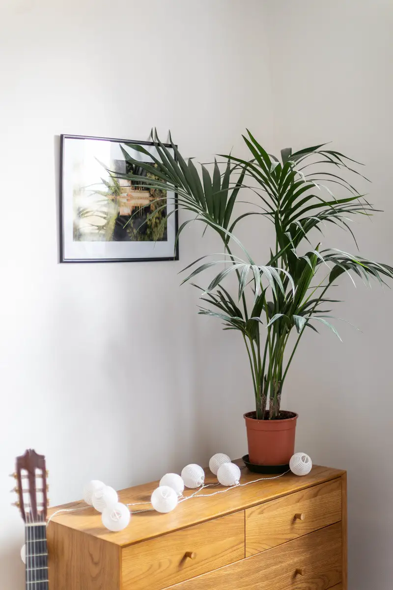 巴黎 50m²公寓的完美翻新 | 充满巴黎魅力的宜居空间-11