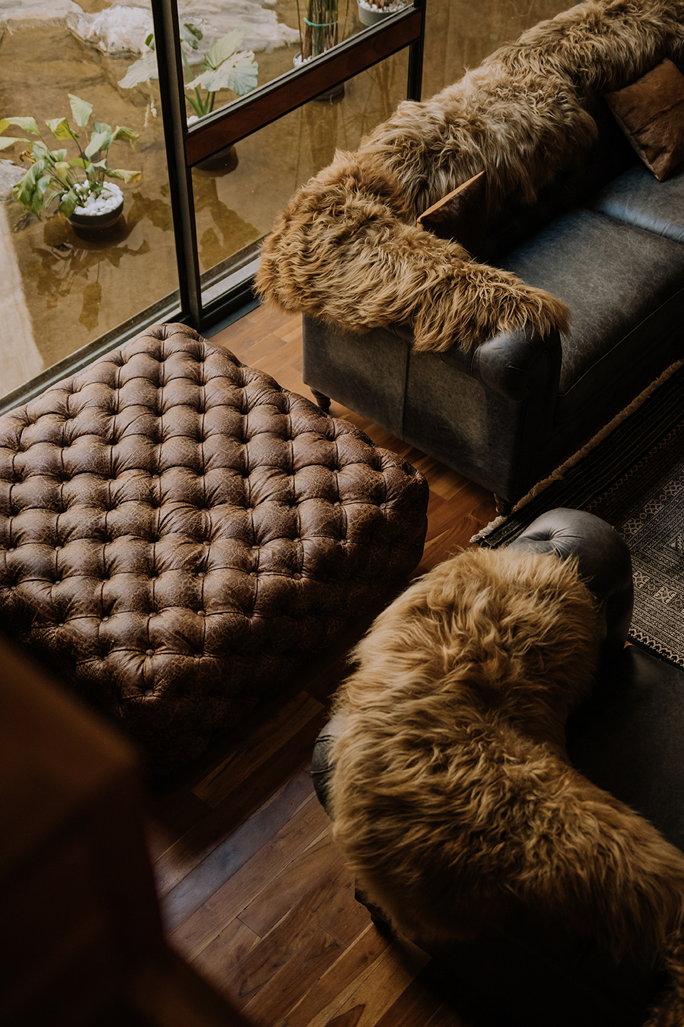 弗拉维亚豪华酒店丨墨西哥瓦哈卡丨ROOTSTUDIO-29