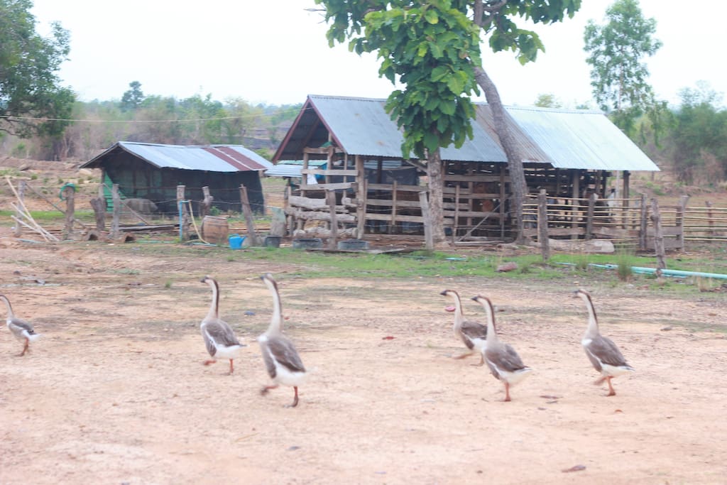 泰式两层半砖半木风格住宅-16