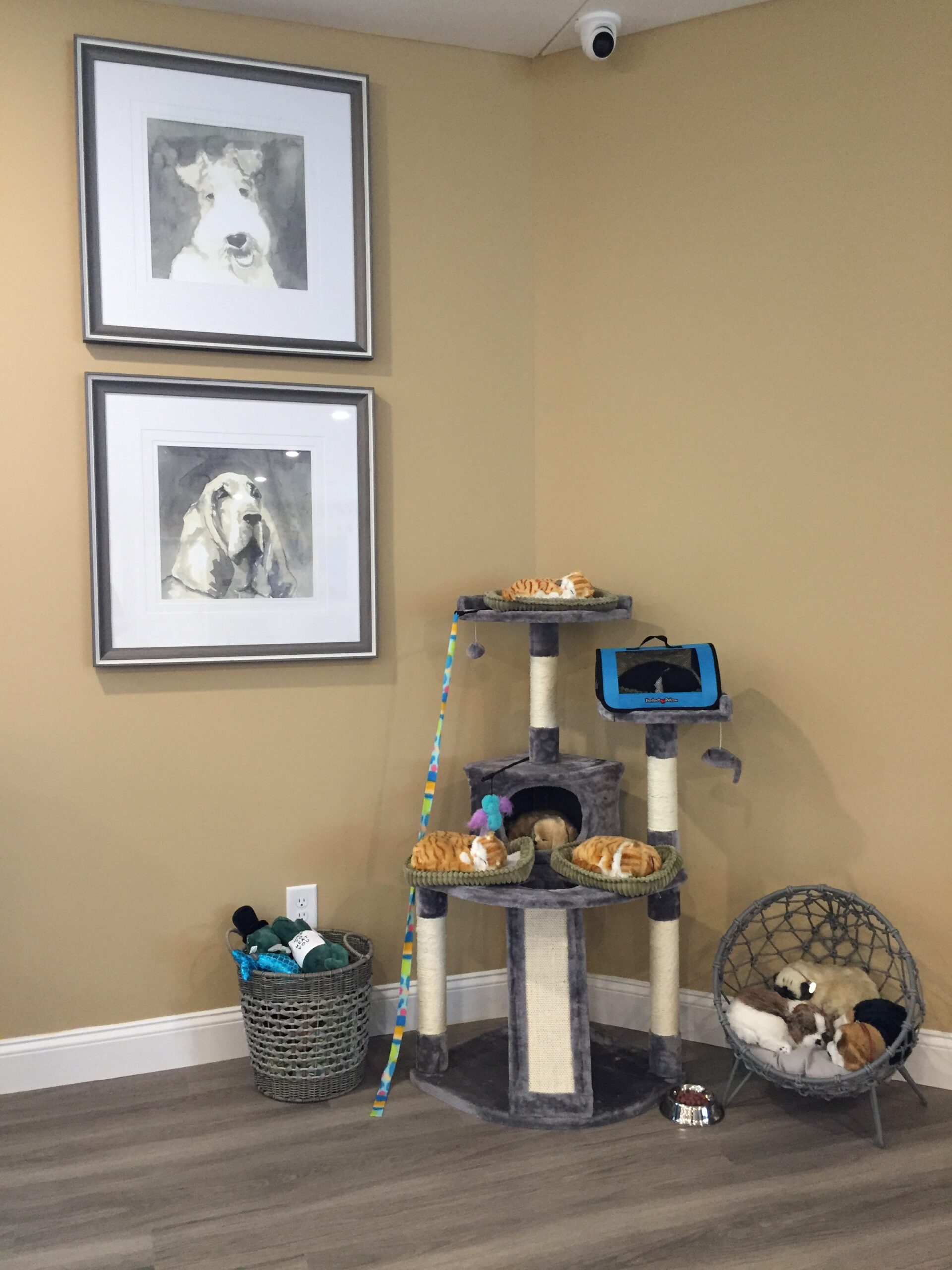 道森维尔庄园湖-80