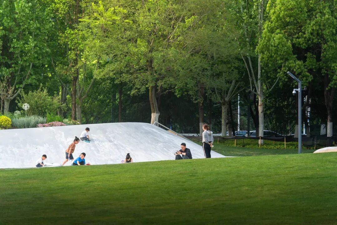 唤醒自然，天鹅重现—城市里的治愈系游园|园科作品-47