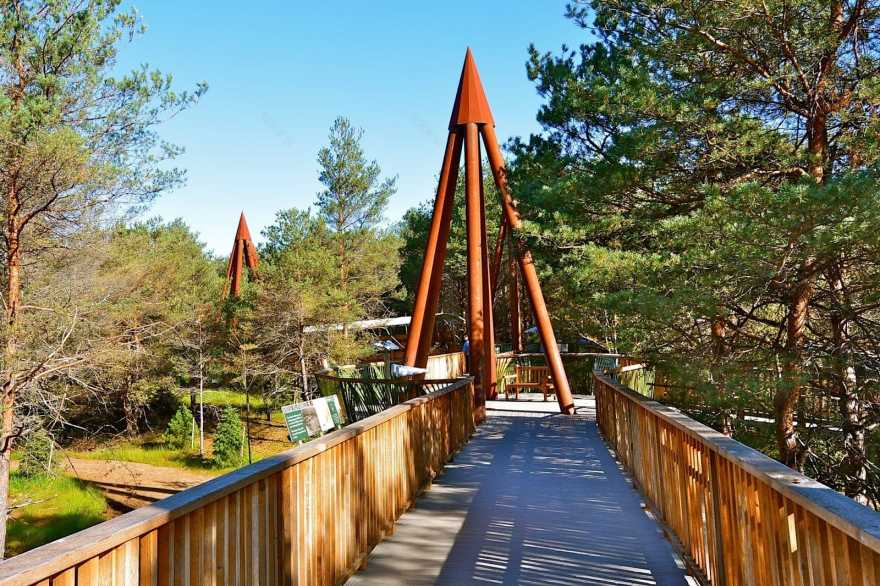 阿迪朗达克斯野生步道丨查尔斯·雷伊-15