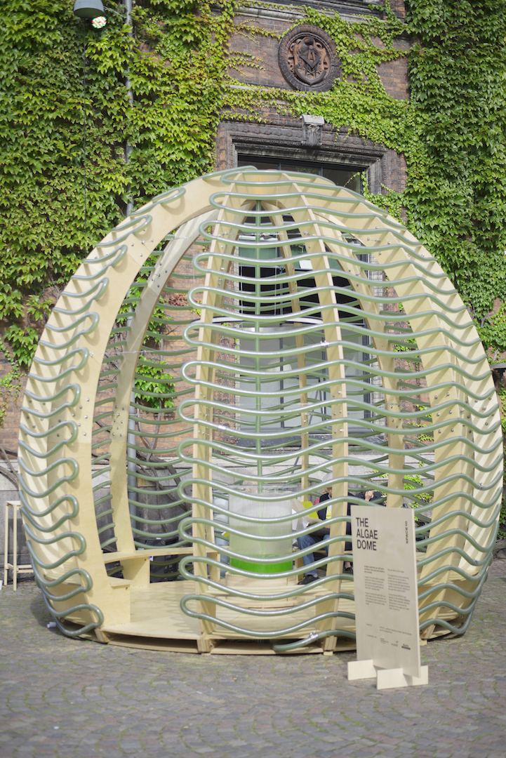SPACE10’s Algae Dome Can Potentially Solve the World’s Biggest Problems-5