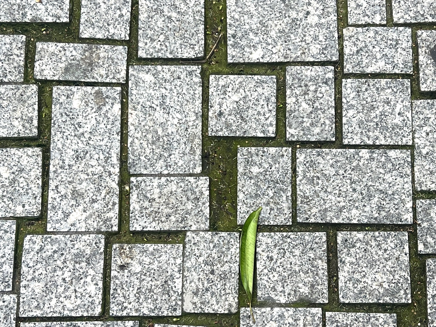 广州南方学院番禺附属中学景观改造丨中国广州丨BAM百安木-107