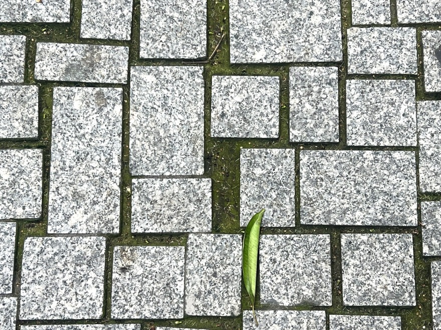 广州南方学院番禺附属中学景观改造丨中国广州丨BAM百安木-107