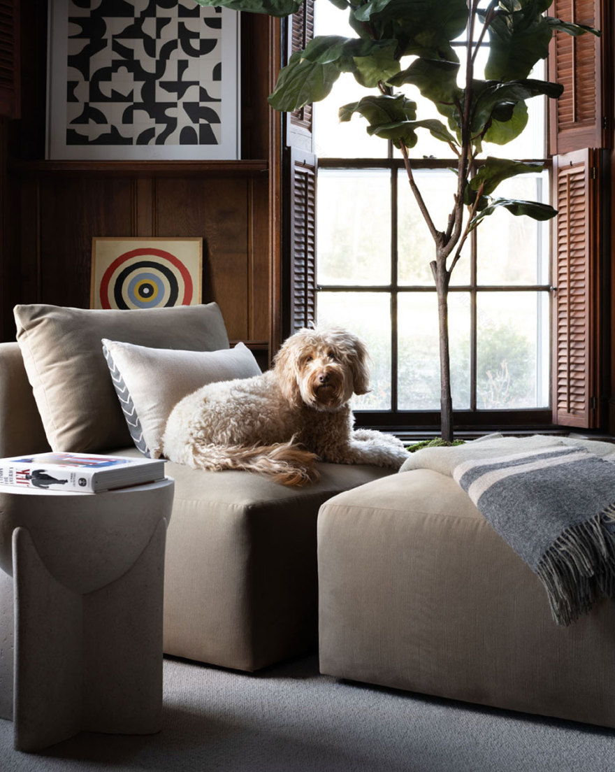 纽约郊区别墅 | 柔和的秋日乡村之家-8