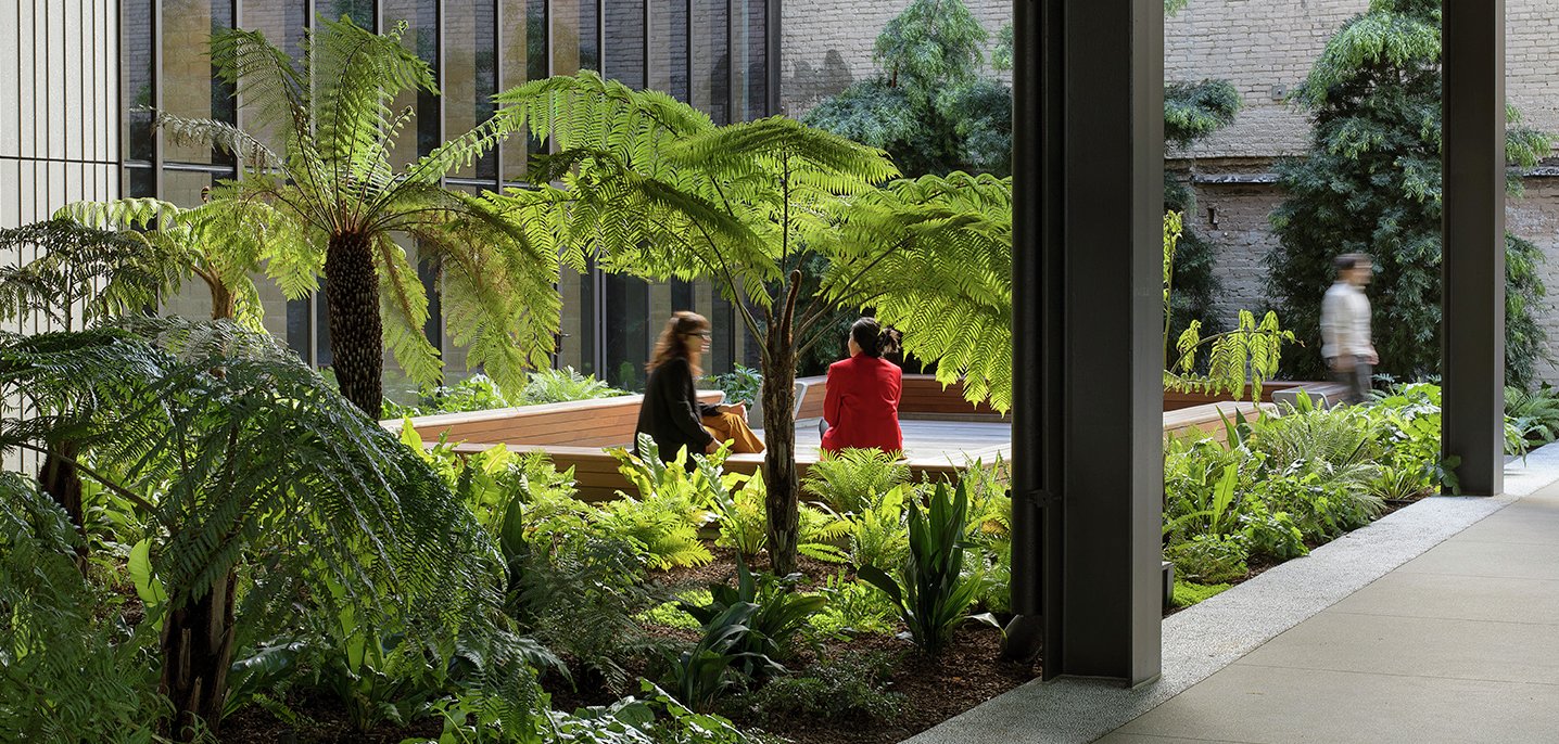 丨美国洛杉矶-0