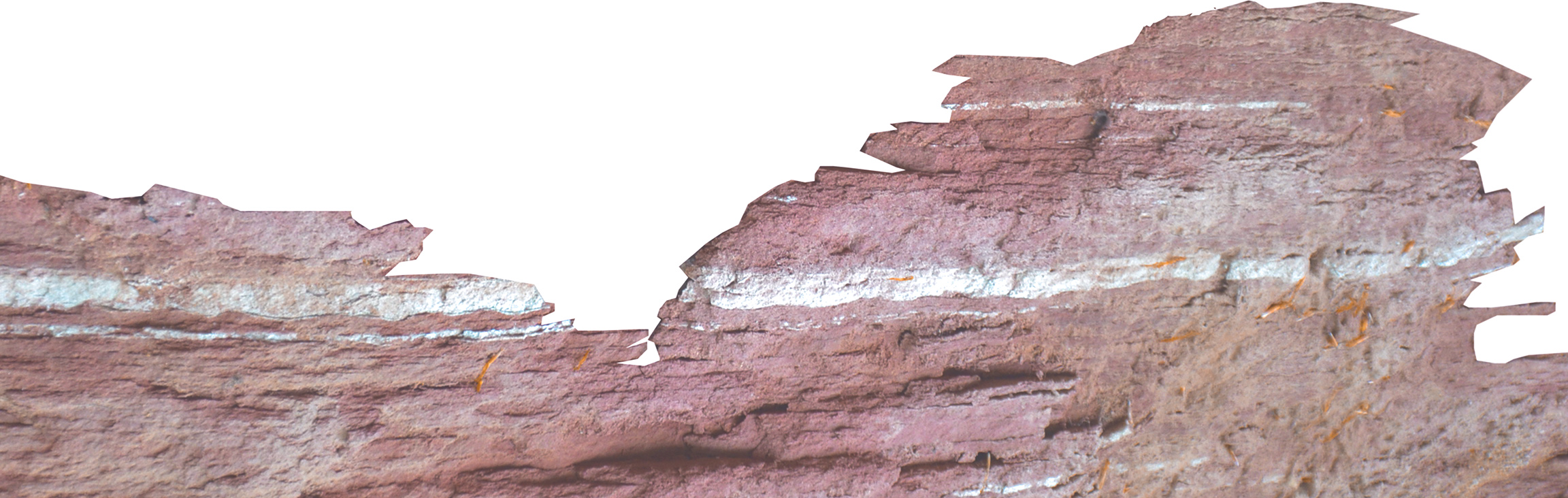 阿施巴赫地质公园信息中心丨德国丨Fanz and Neumayer-3