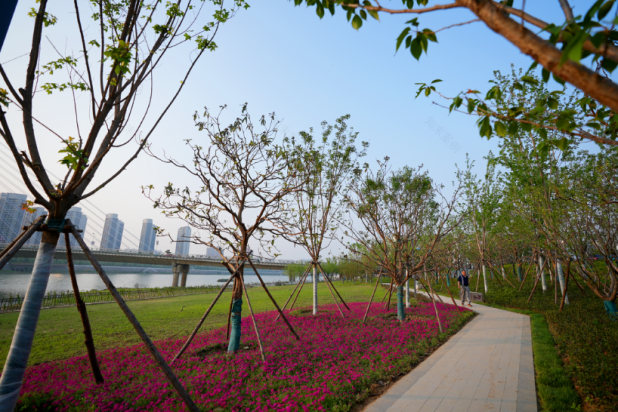 潢川县潢河生态综合治理工程(一期)项目·光州公园启动区丨中国信阳丨棕榈设计集团有限公司-22